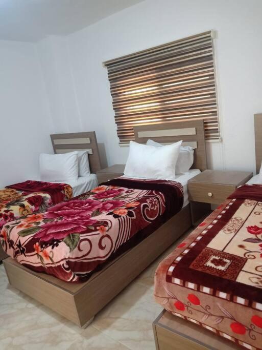 Z3 Apartment Vádi Músza Kültér fotó